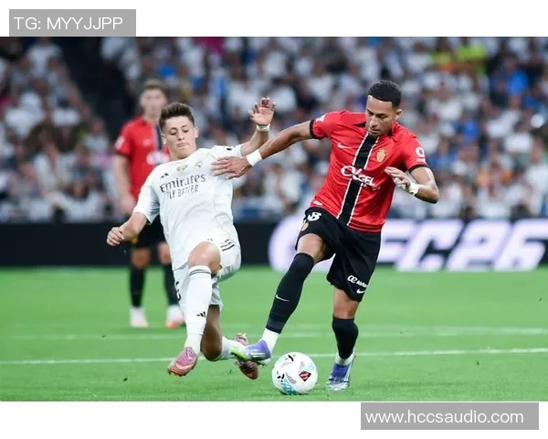 足球明星养马的背后故事揭秘与他们的马匹情缘